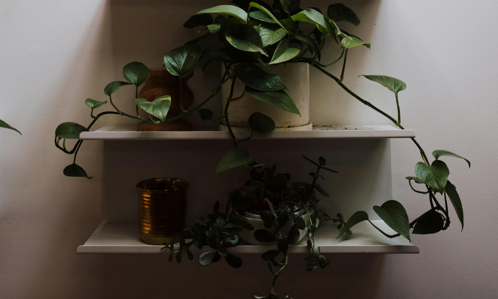 Muurdecoratie ideeën om elke muur sfeer en karakter te geven