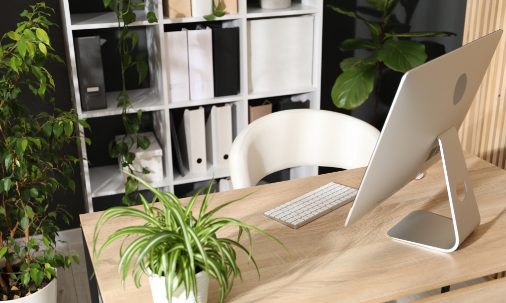 Biophilic design toepassen in je interieur: Zo doe je dat