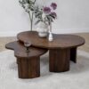 Asger Salontafel set van 2 walnoot | 110/70cm