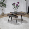Rosa Salontafel set van 2 walnoot | 90/70cm