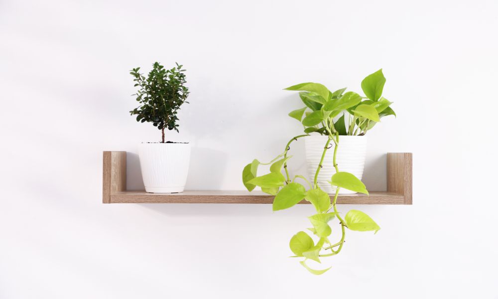 Decoratie voor op je wandplank: zo style je jouw wandplank sfeervol